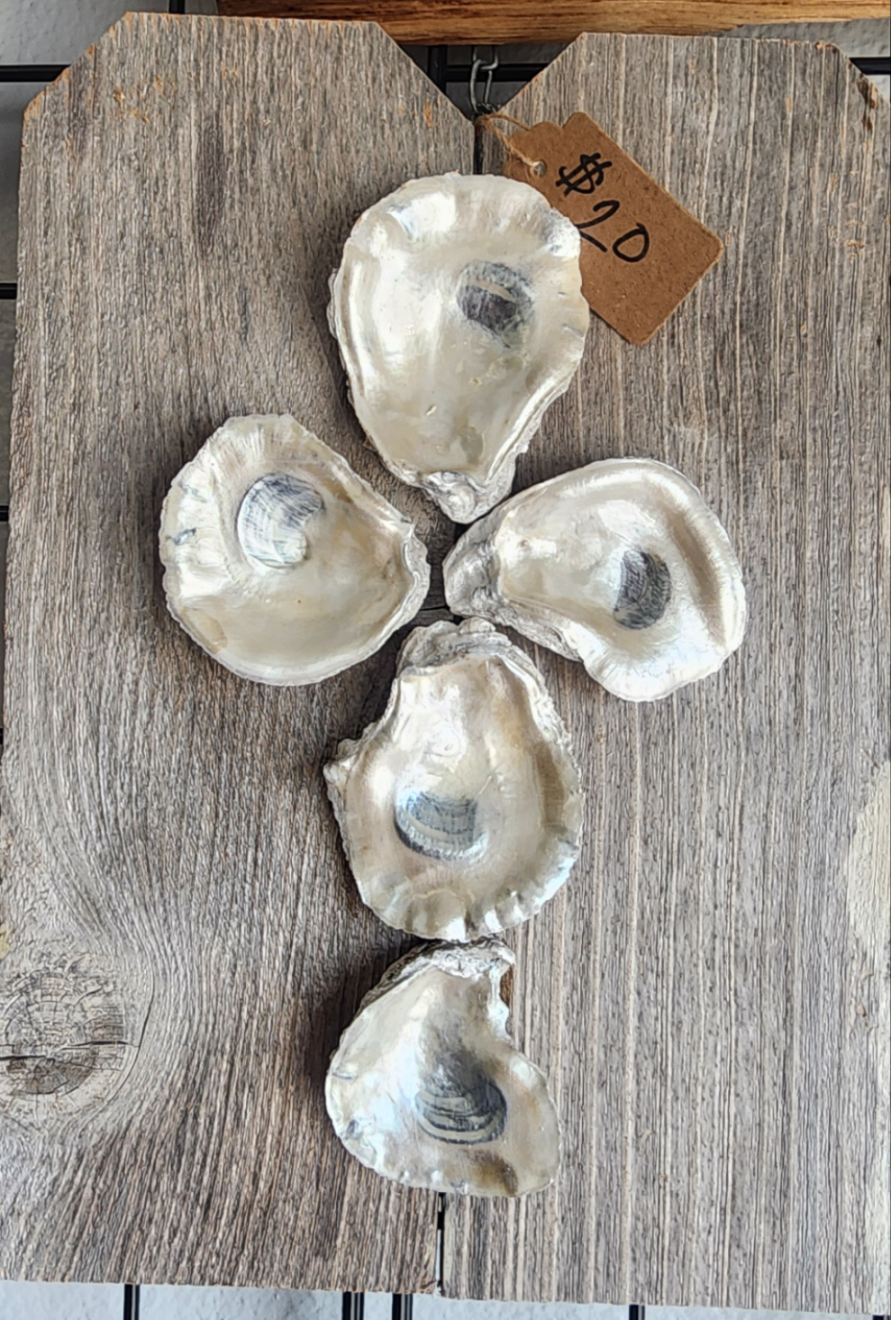 Shell Cross Wall Art on Planks