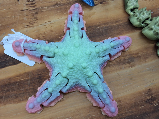 Starfish