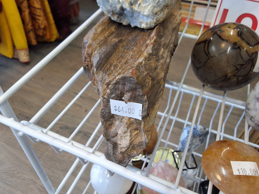 Large Pertified Wood