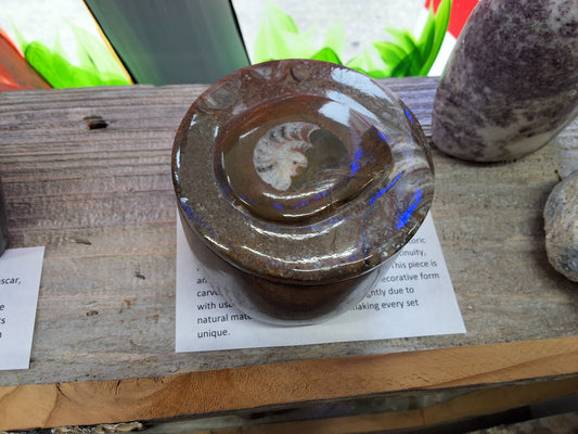 Ammonite Box